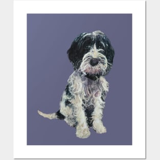 Adorable Black and white Cobberdog. Posters and Art